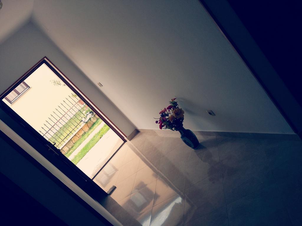 Pejic Umag